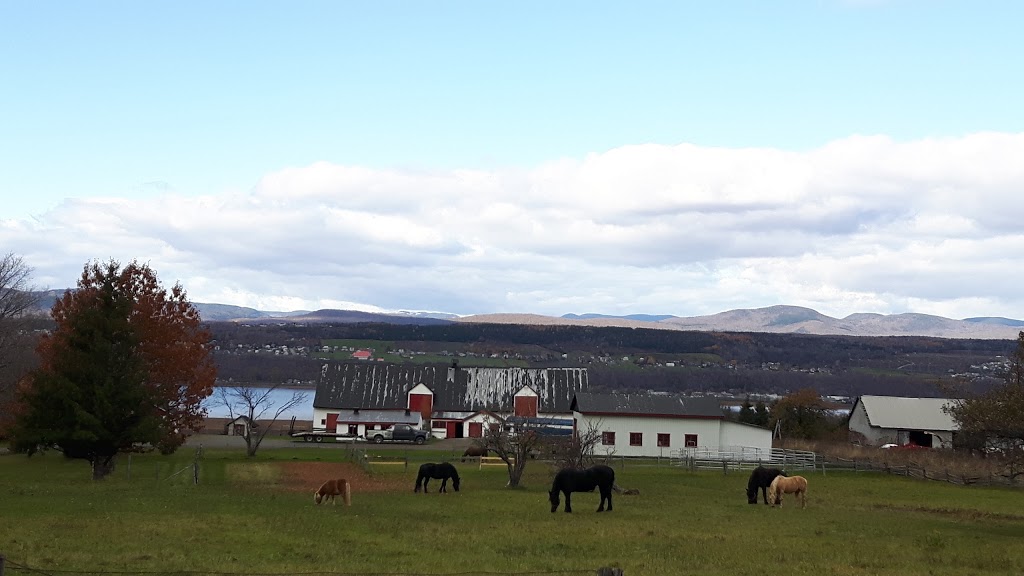 Accueil Touristique De LÎle DOrléans | 490 Côte du Pont, Saint-Pierre, QC G0A 4E0, Canada | Phone: (418) 828-9411