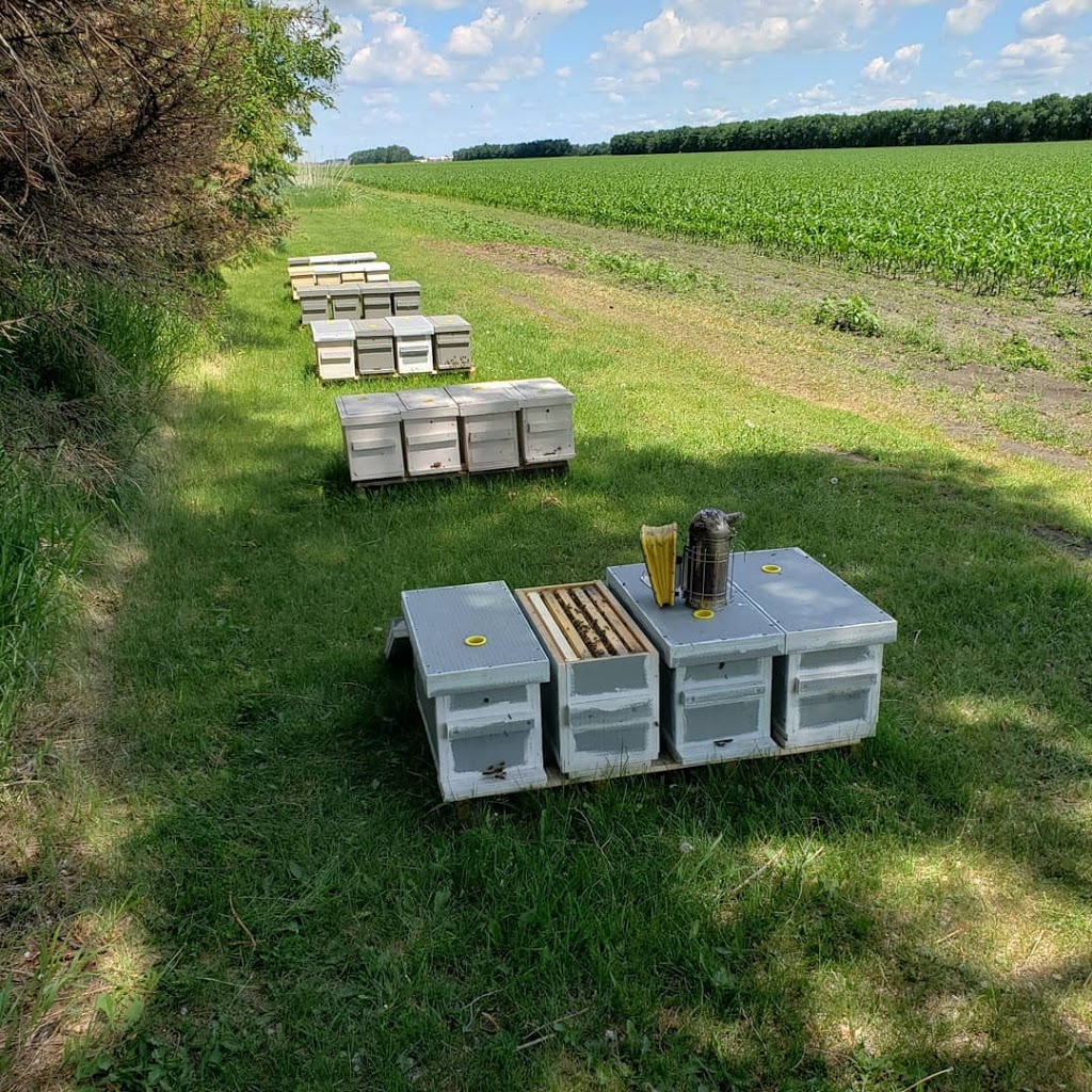 Schulz Honey Farm | Rd 11N, Winkler, MB R6W 4B1, Canada | Phone: (204) 361-5880