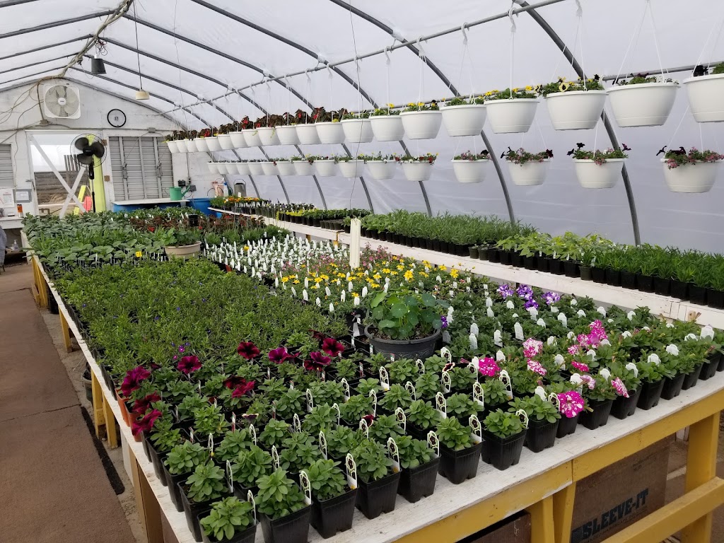 A VeryNice Greenhouse | #2 56021, Range Rd 261, AB T8R 0V9, Canada | Phone: (780) 233-0166