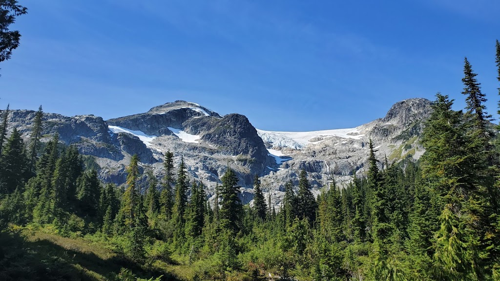 Skywalk Trailhead | Mountain View Dr, Whistler, BC V0N 1B8, Canada | Phone: (604) 754-8993