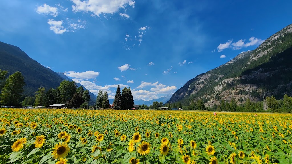 Laughing Crow Organics | 8324 Pemberton Meadows Rd, Pemberton, BC V0N 2L0, Canada | Phone: (604) 906-1305