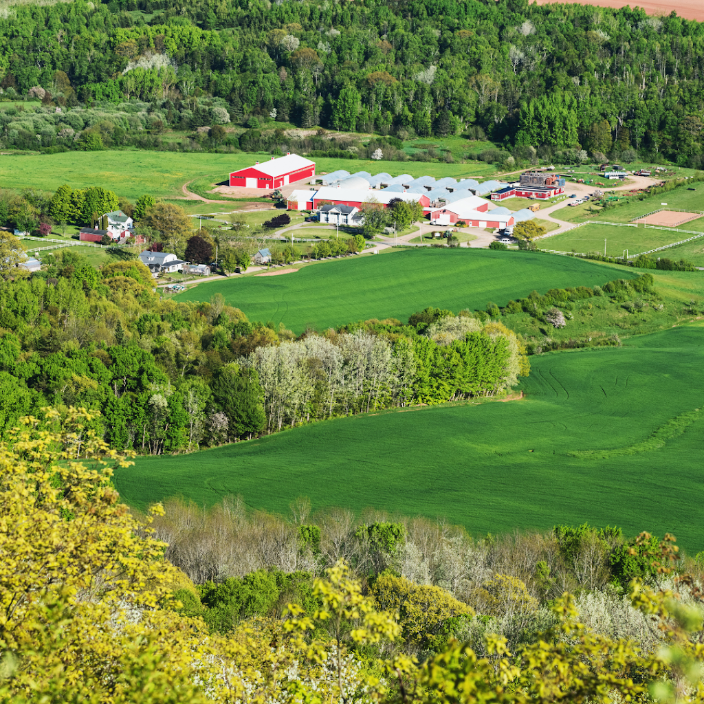 Engel & Völkers in Nova Scotia | 241 St George St, Annapolis Royal, NS B0S 1A0, Canada | Phone: (902) 532-2121