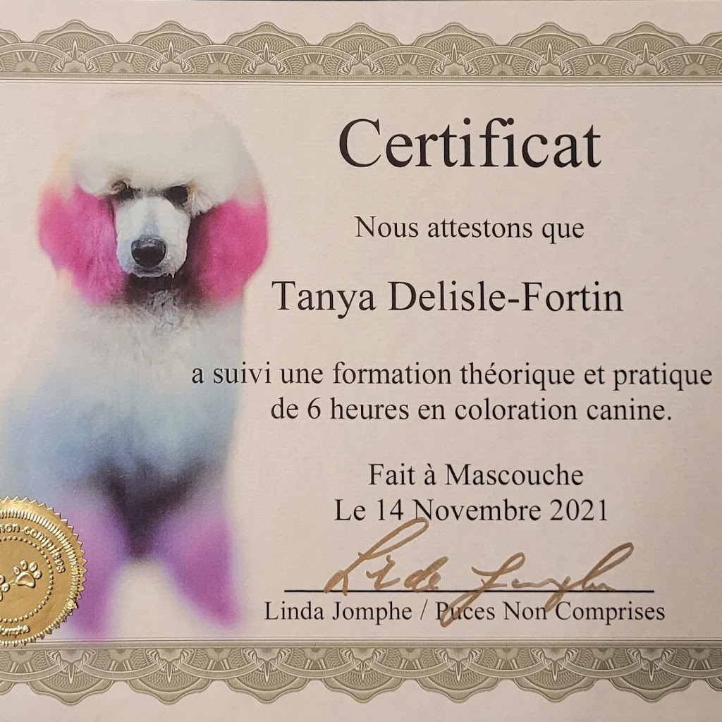 Tanya Toiletteuse canin | 220 Rue Notre-Dame, Repentigny, QC J6A 2R4, Canada | Phone: (514) 975-6722