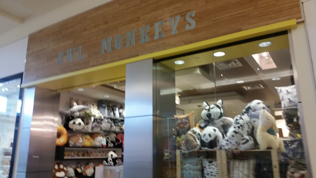 Owl Monkeys | 25 Peel Centre Dr, Brampton, ON L6T 3R5, Canada | Phone: (416) 268-8666