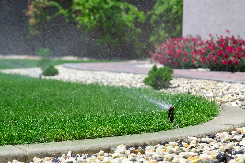 Green Cuts Pool and Lawn Care | 47 Ruijs Blvd, Brantford, ON N3T 0E2, Canada | Phone: (226) 583-0510