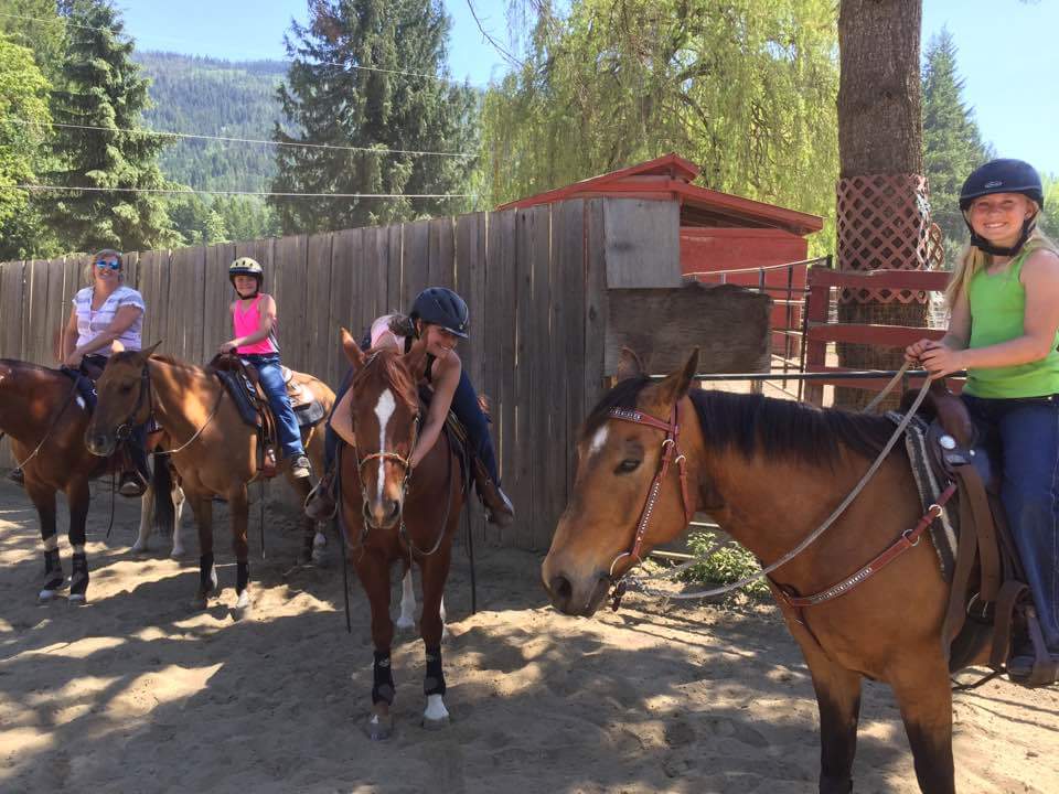 Teixeira Performance Stables | 6741 60 St NE, Canoe, BC V0E 1K0, Canada | Phone: (250) 803-6003