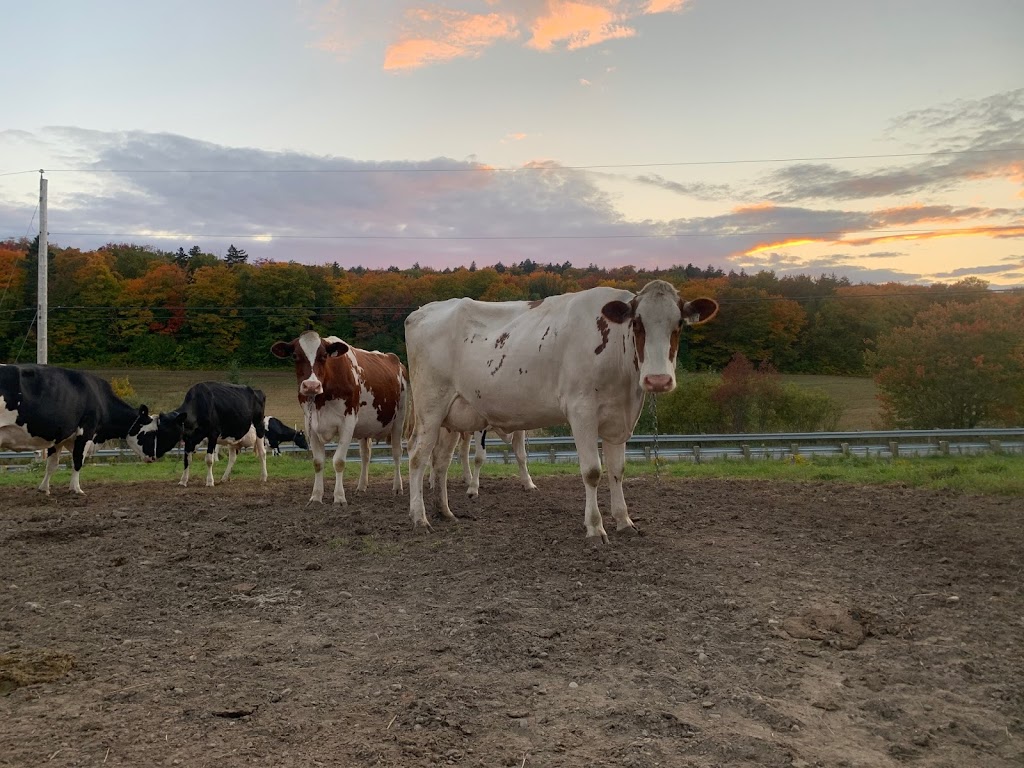 Ferme Fertilys | 860 QC-352, Sainte-Thècle, QC G0X 3G0, Canada | Phone: (418) 507-2697