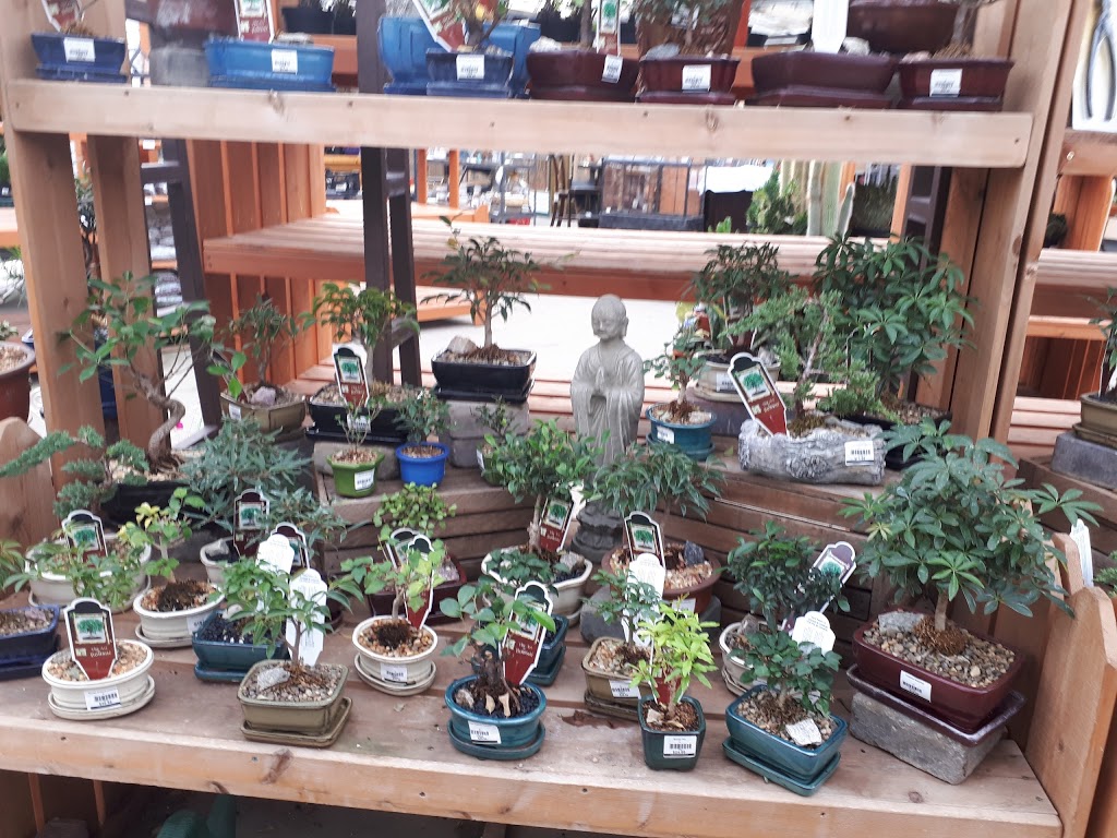 Salisbury Greenhouse | 52337 Range Rd 232, Sherwood Park, AB T8B 1B8, Canada | Phone: (780) 467-5743