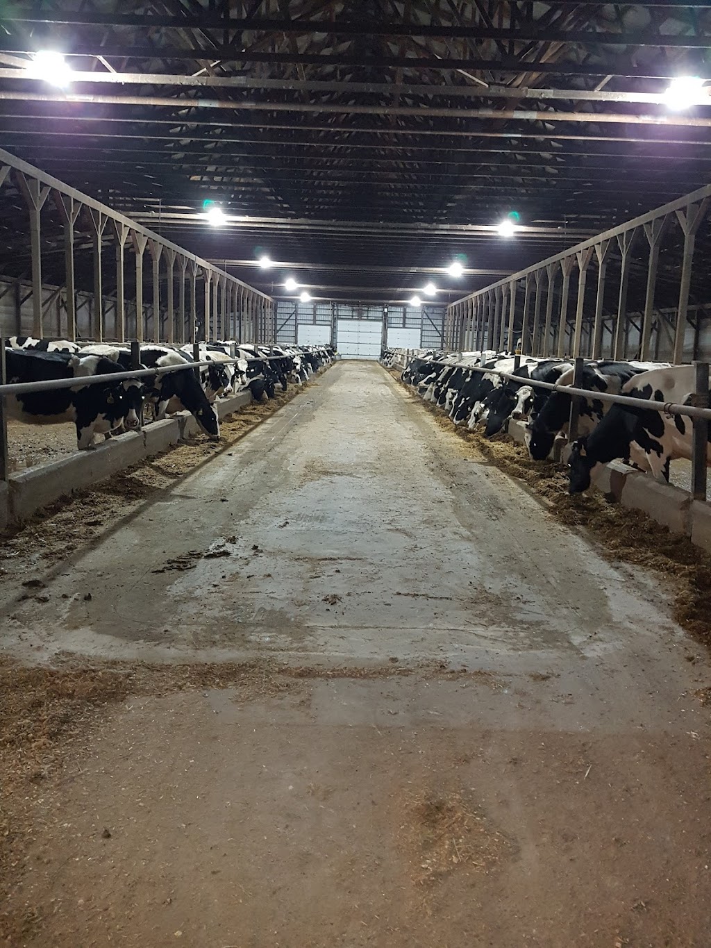 Walker Dairy Inc. | 50832 Talbot Line, Aylmer, ON N5H 2R1, Canada | Phone: (519) 765-2406