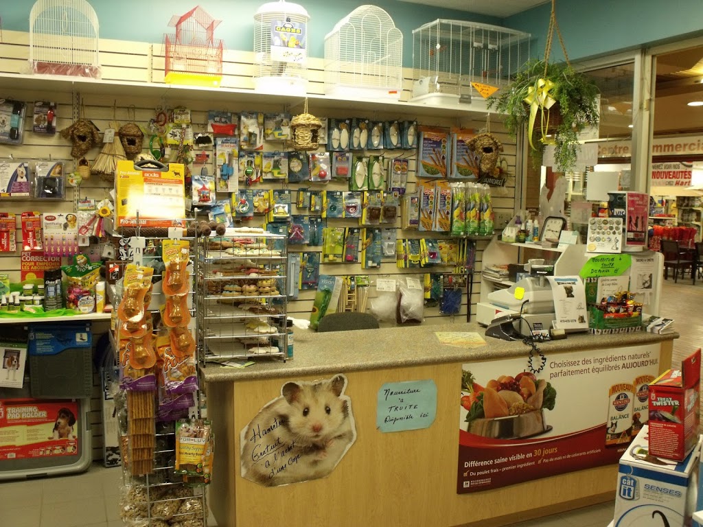 Animalerie le Village | 2 Chemin de lÉquerre, Baie-Saint-Paul, QC G3Z 2Y5, Canada | Phone: (418) 435-0043