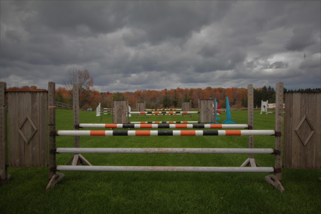 Toronto Equestrian | 3563 Vandorf Road, Whitchurch-Stouffville, ON L4A 4H5, Canada | Phone: (647) 996-0897