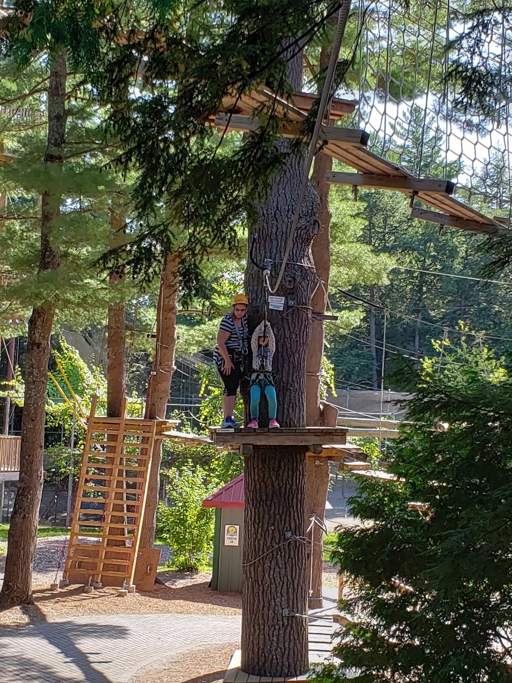 Muskoka Zip Lines & Aerial Park | 1624 Golden Beach Rd, Bracebridge, ON P1L 1W8, Canada | Phone: (705) 645-2512