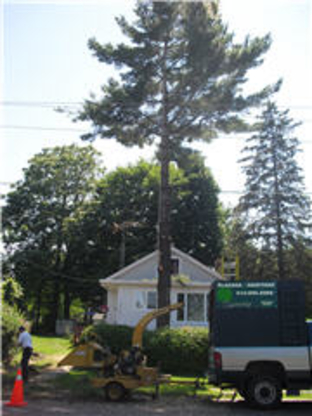 Arboriculture Lapointe | 271 Rue Montcalm, Saint-Colomban, QC J5K 2N3, Canada | Phone: (450) 602-4386