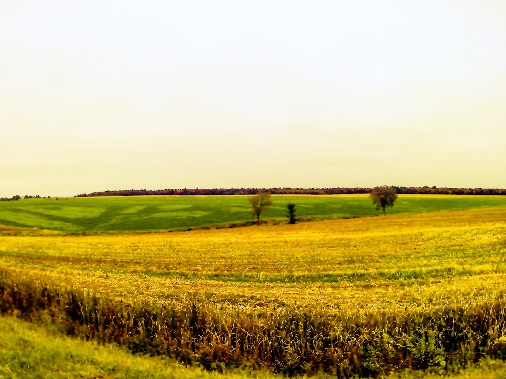 Ferme Bel Porc Ltee | 674 Rang Saint-Philippe, Saint-Anselme, QC G0R 2N0, Canada | Phone: (418) 885-9352