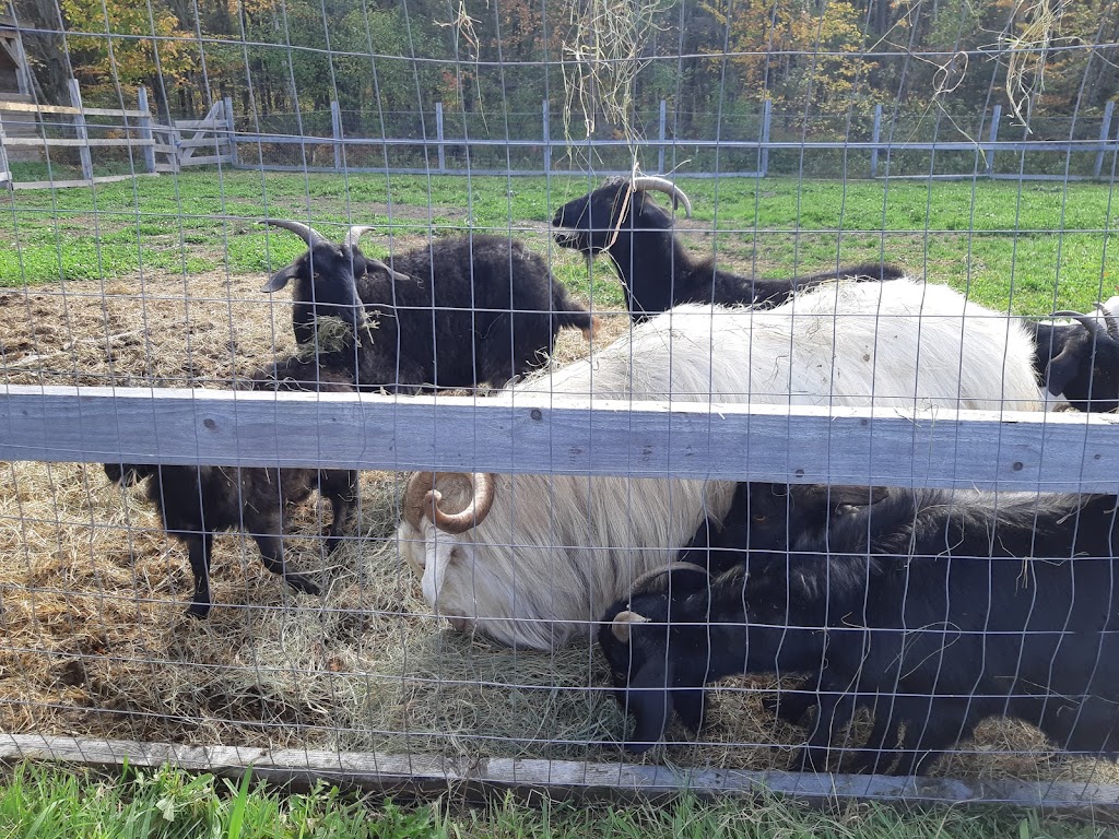 La ferme Pélipa | 1120 Rue Saint-Aimé, Saint-Lambert-de-Lauzon, QC G0S 2W0, Canada | Phone: (581) 888-1452