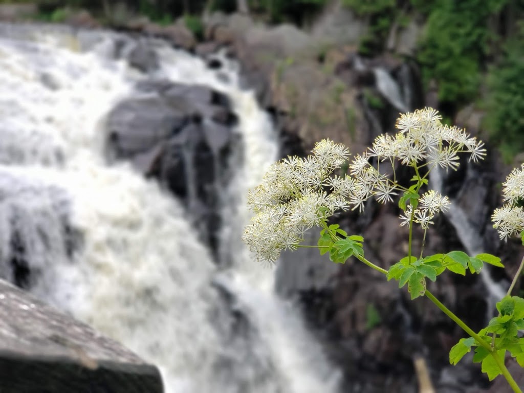 Parc National du Mont-Tremblant - Accueil LAssomption | 5045 Route de la Ferme, Coin-Lavigne, QC J0K 2B0, Canada | Phone: (450) 883-1291