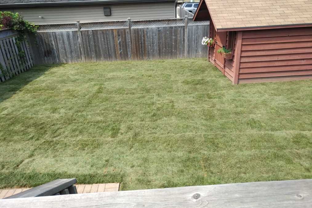 JW Lawn Maintenance Inc. | 77 Beverly Glen Dr, Lynden, ON L0R 1T0, Canada | Phone: (519) 754-3924