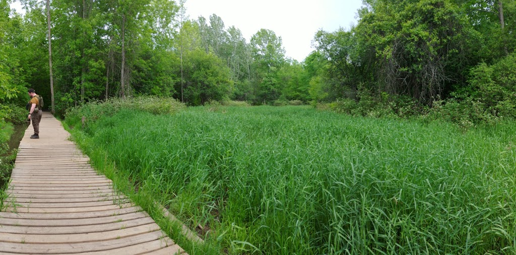 Trent University Nature Areas | 801 University Rd, Peterborough, ON K9J 6Y1, Canada | Phone: (705) 748-1011