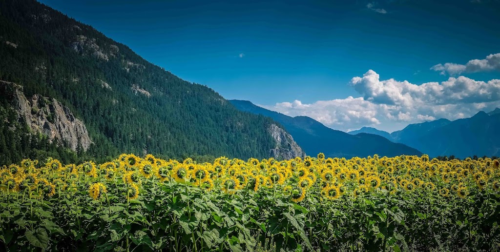 The Beer Farmers | 8324 Pemberton Meadows Rd, Pemberton, BC V0N 2L2, Canada | Phone: (778) 770-1523