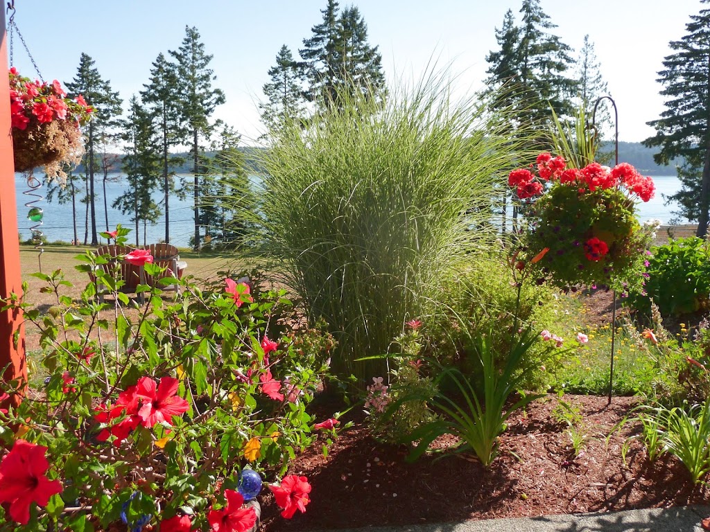 Two Eagles Lodge | 6409 Island Hwy S, Union Bay, BC V0R 3B0, Canada | Phone: (250) 335-2342