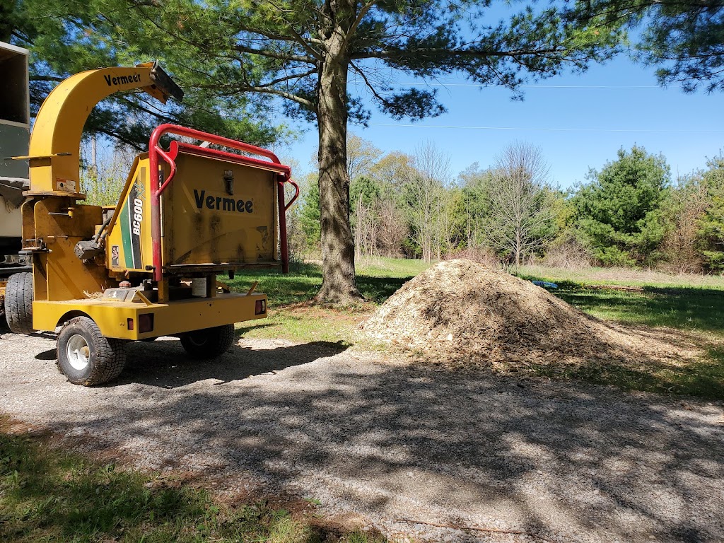 Chip It Guy Brush Chipping & Stump Grinding | 12459 Sixth Line Nassagaweya, Acton, ON L7J 2L7, Canada | Phone: (905) 864-5852