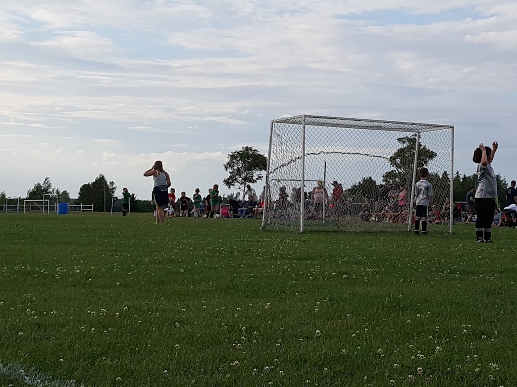 Eastern Eagles Soccer Complex | 117 Douses Rd, Lower, Montague, PE C0A 1R0, Canada | Phone: (902) 838-3480