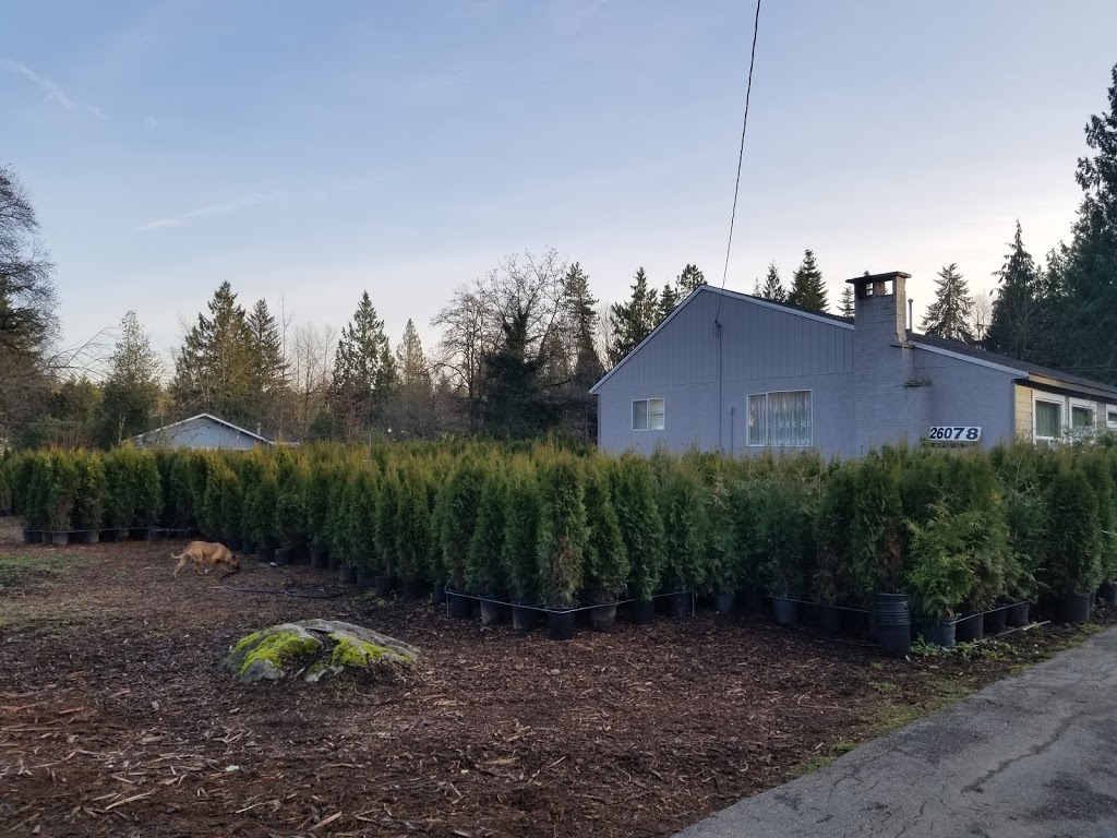 JS Nursery | 26078 Dewdney Trunk Rd, Maple Ridge, BC V4R 1Y6, Canada | Phone: (604) 767-0750