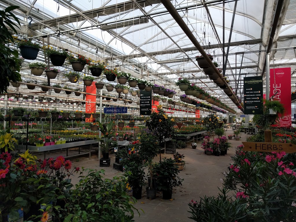 Schriemers Greenhouses & Garden Centre Ltd | 2857 McGregor Farm Rd, Springfield, MB R2E 1E8, Canada | Phone: (204) 668-8357