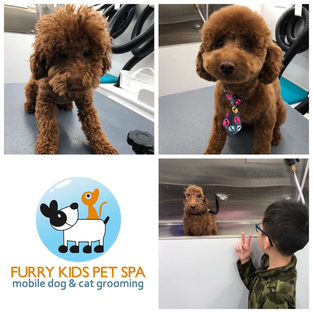 Furry Kids Mobile Pet SPA- dog & cat grooming | 13930 20 Ave, Surrey, BC V4A 2A1, Canada | Phone: (778) 838-3080