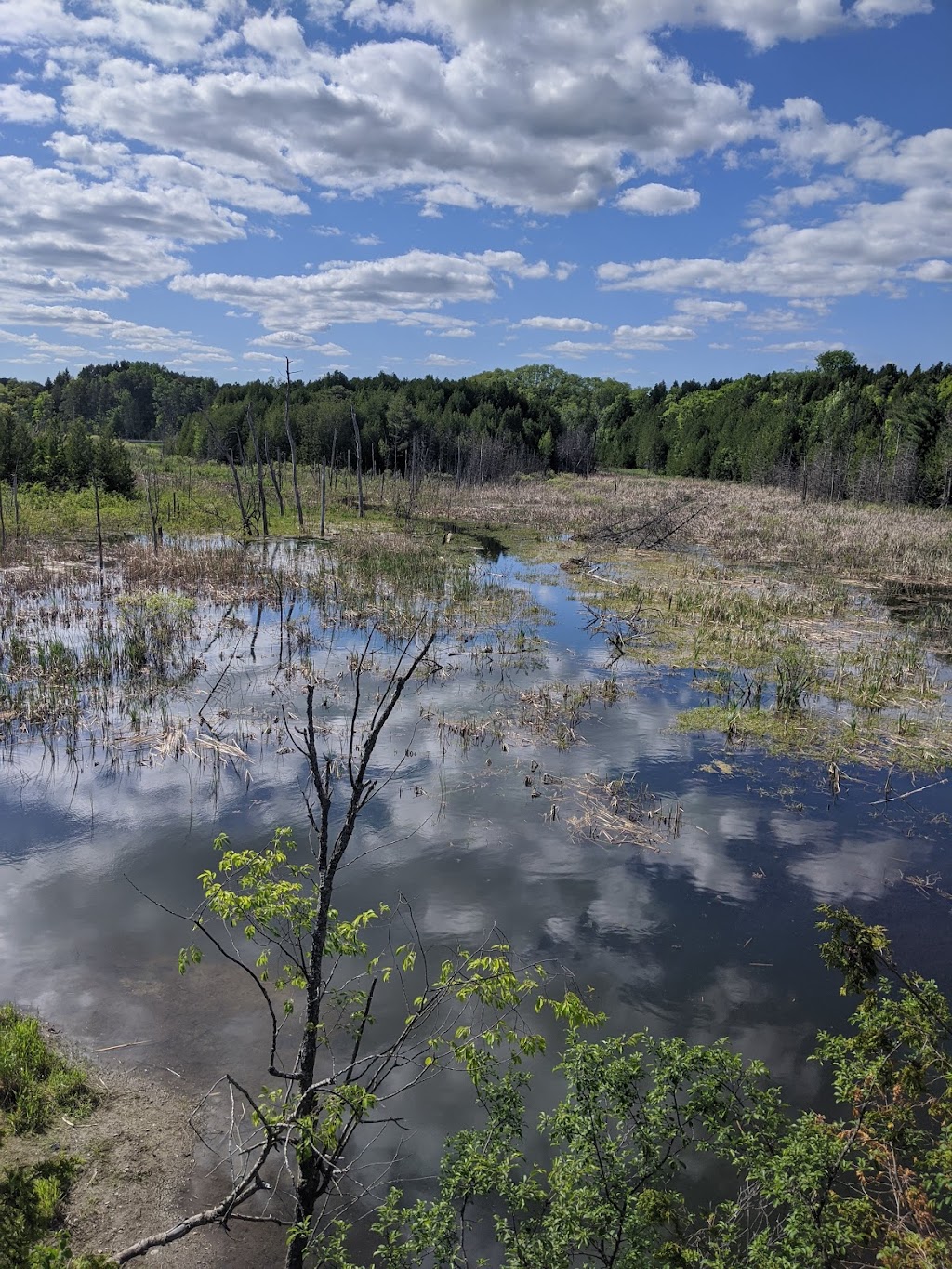 Caledon Trailway, start of the trail | Caledon Trailway Path, Caledon, ON L0P 1N0, Canada | Phone: (905) 584-2272 ext. 4235