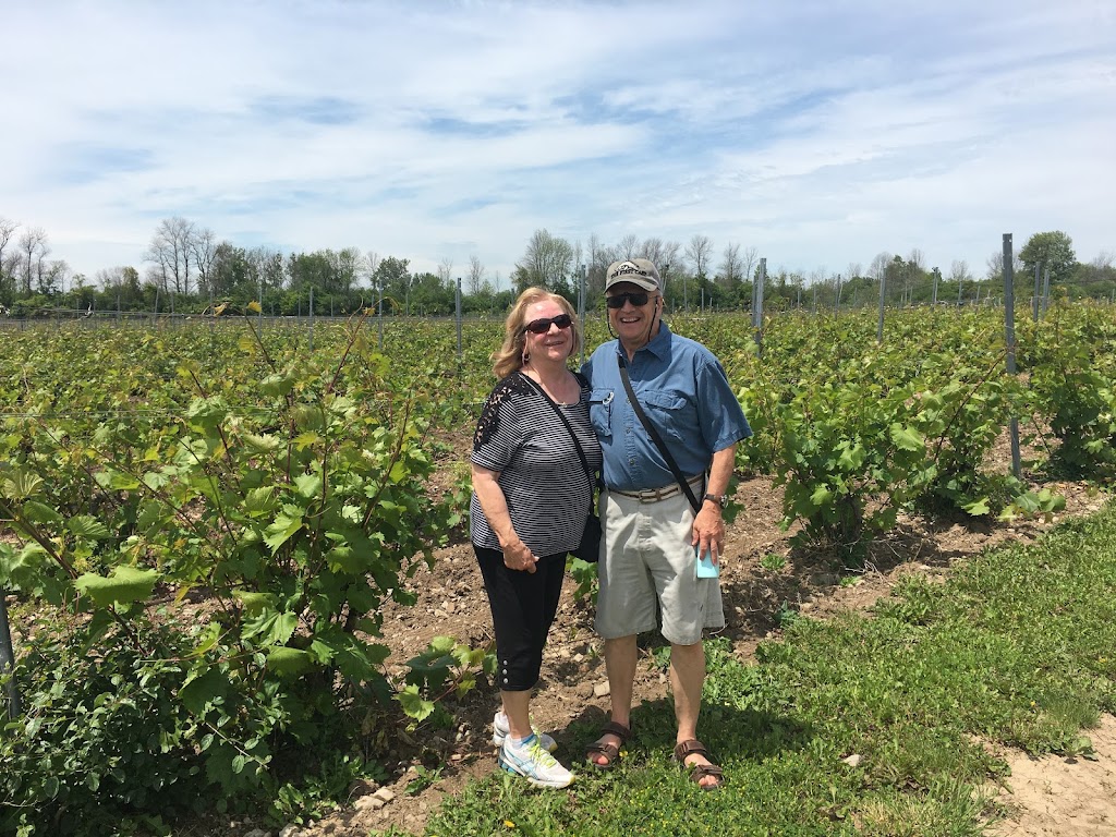 Tinas Wine Tours of Prince Edward County | 13370 Loyalist Pkwy, Picton, ON K0K 2T0, Canada | Phone: (613) 476-2884