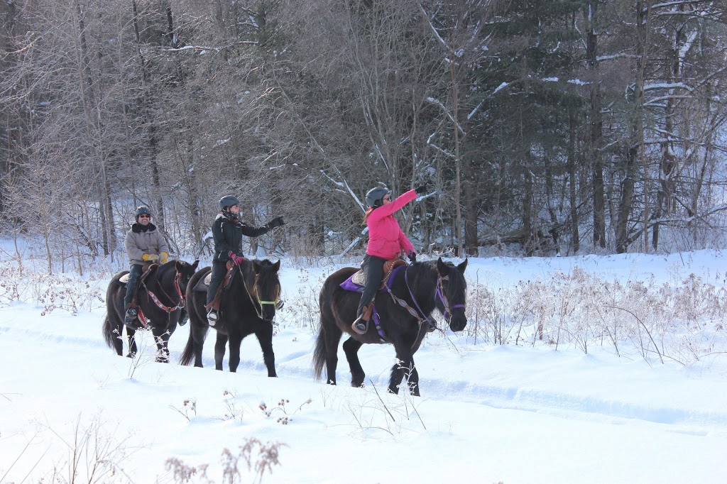 Équitation Mel Gauthier M.M.G. | 1221 Chemin Pincourt, Mascouche, QC J7L 2X8, Canada | Phone: (514) 625-5534