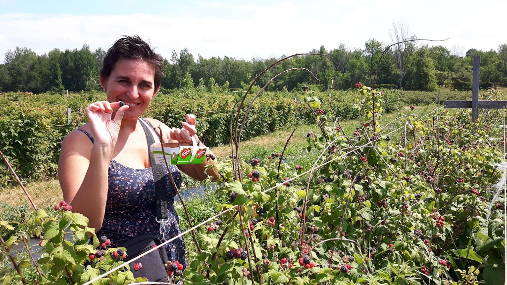 Les Petits fruits du Clocher | 307 Rue Principale, Sainte-Cécile-de-Milton, QC J0E 2C0, Canada | Phone: (450) 991-0898