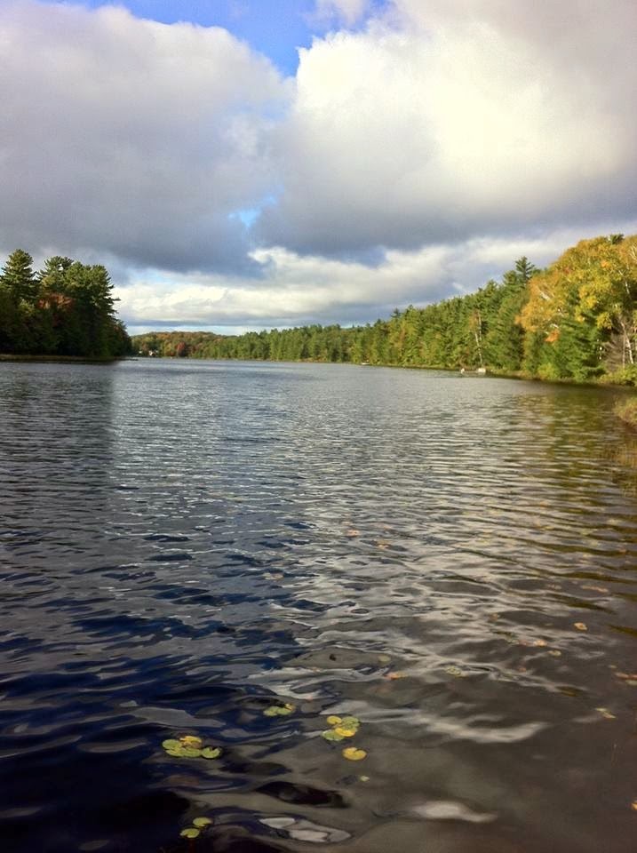 Tucker Lake Camp | 29 Clear Lake Rd, Parry Sound, ON P2A 2W8, Canada | Phone: (705) 375-2518