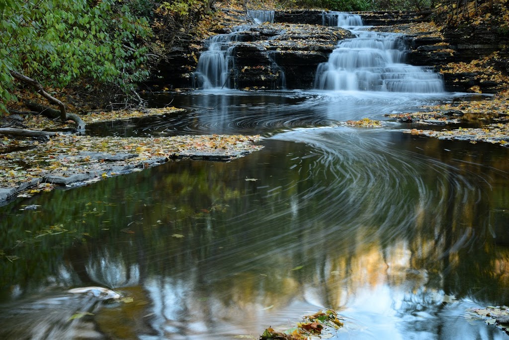 Ruisseau-De Montigny Nature Park | Anjou, QC H1J 2Y2, Canada | Phone: (514) 872-3434