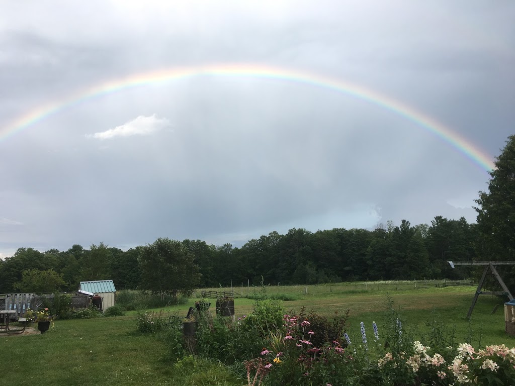 Rural Roots Nursery and Market Garden | 2674 County Rd 42, Stayner, ON L0M 1S0, Canada | Phone: (705) 305-3514