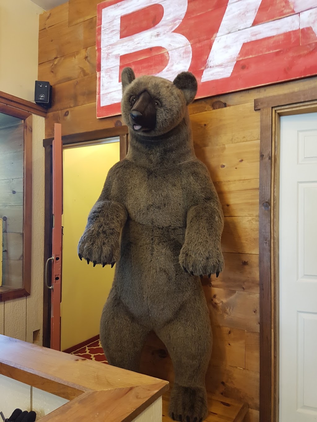 Muskoka Bear Wear - BALA (CLOSED FOR THE SEASON) | 3145 Muskoka District Road 169 #3, Bala, ON P0C 1A0, Canada | Phone: (705) 762-1004