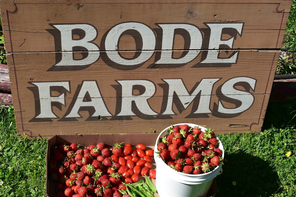 Bode Family Farms | 25908 124 Ave, Maple Ridge, BC V4R 1B8, Canada | Phone: (604) 353-8708