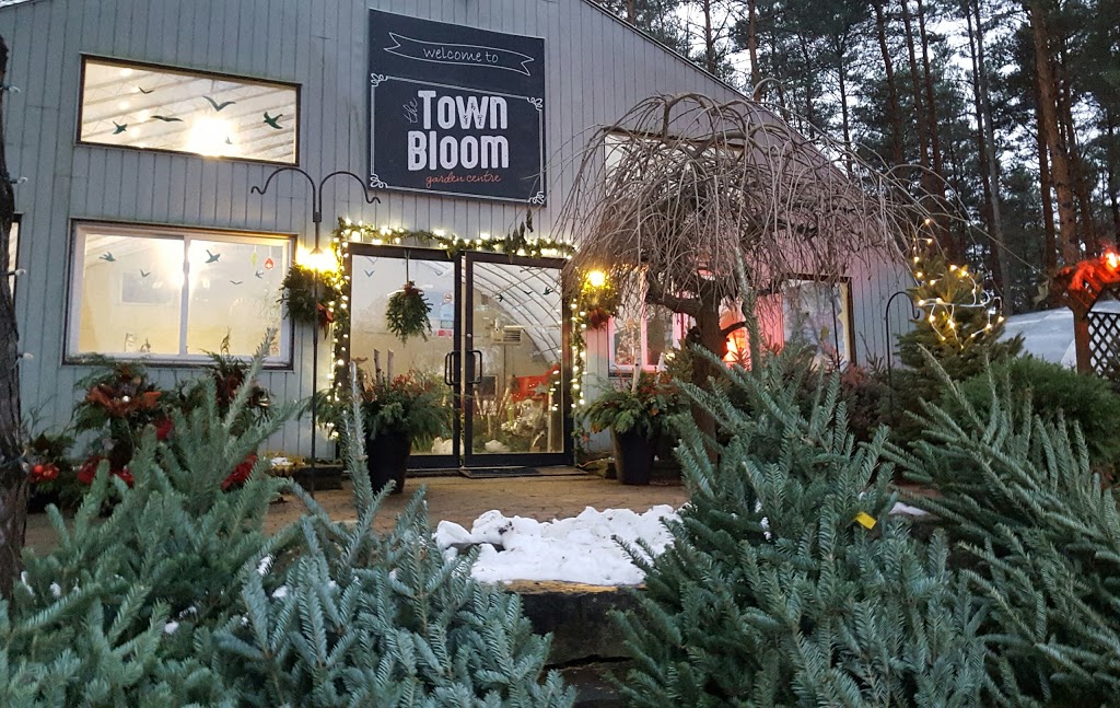 The Town Bloom | 10911 Regional Road 9 Caledon, Caledon, ON L7E 0G5, Canada | Phone: (905) 880-8010