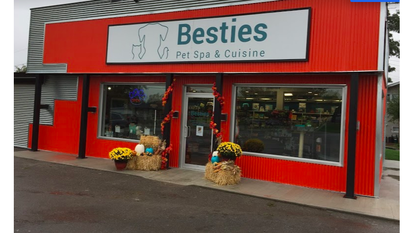 Besties Pet Spa & Cuisine | 10 County Rd 3, Rossmore, ON K8N 4Z1, Canada | Phone: (613) 962-2300