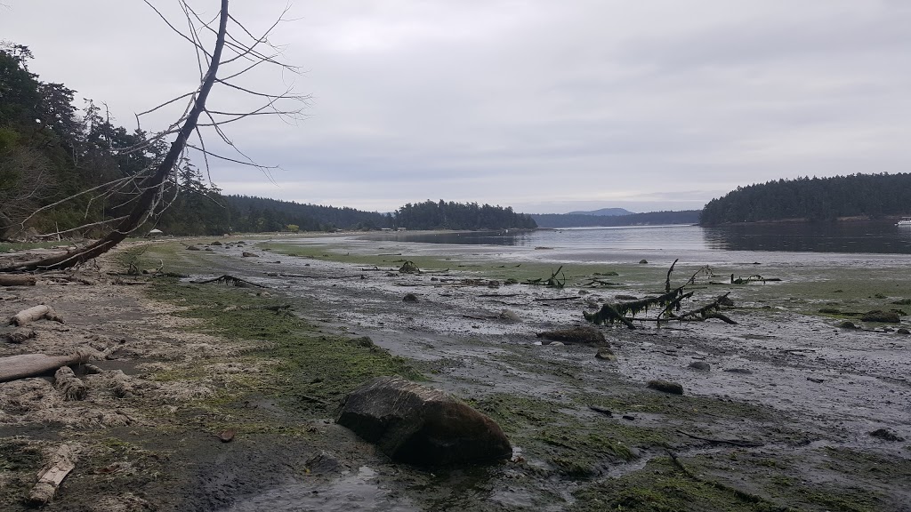 Shaw County Park | Indian Cove Rd, Lopez Island, WA 98261, USA | Phone: (360) 468-4673