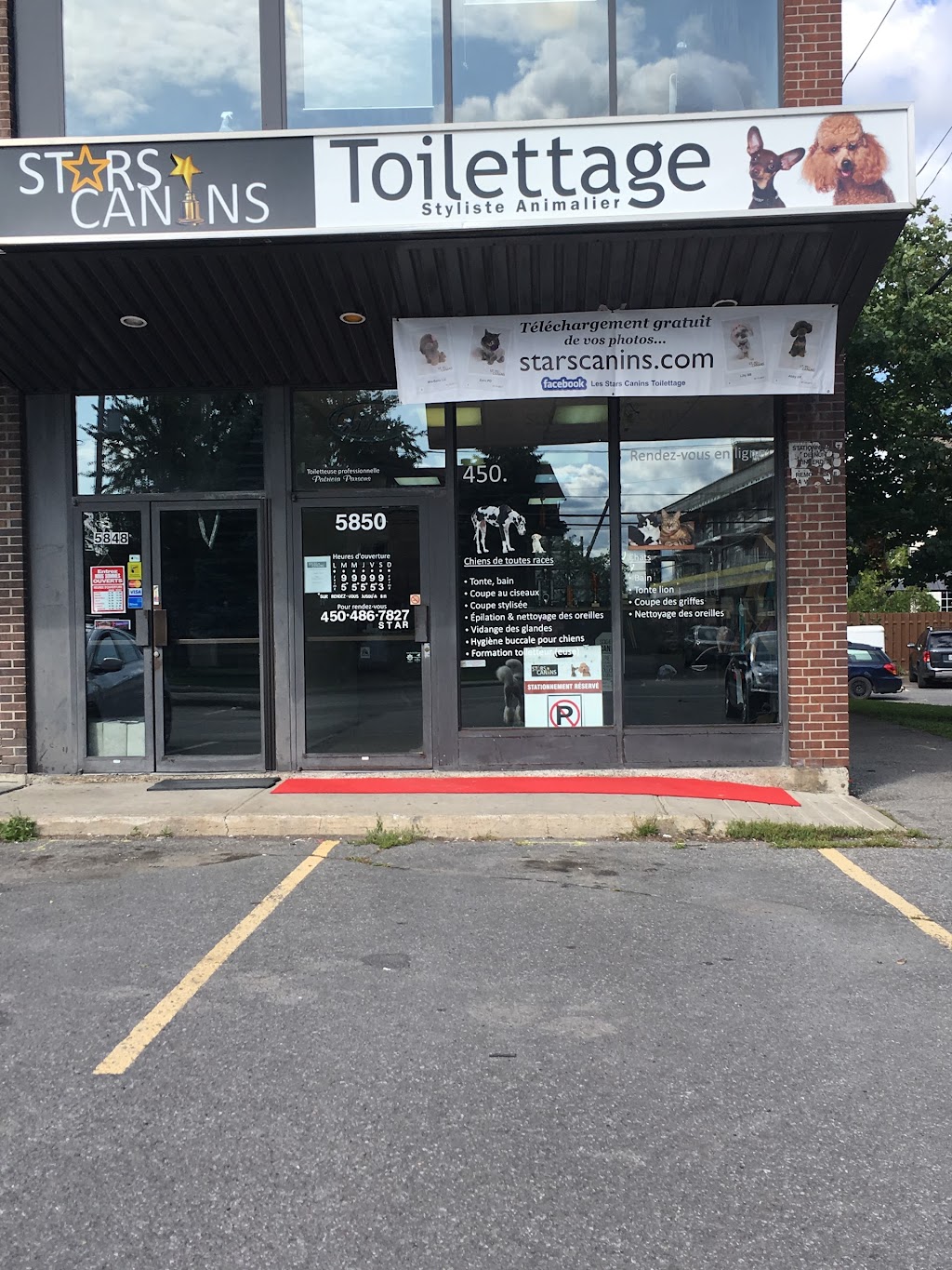 Salon De Toilettage Stars Canins | 5850 Chem. de Chambly, Saint-Hubert, QC J3Y 6W9, Canada | Phone: (450) 486-7827