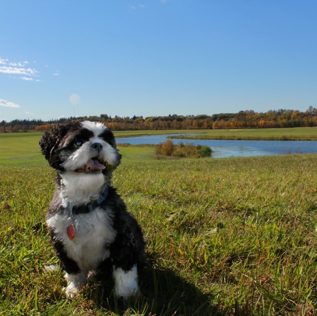 West Rivers Edge Dog Park | Pointe Aux Pins Rd, Fort Saskatchewan, AB T8L 2C5, Canada | Phone: (780) 992-6200