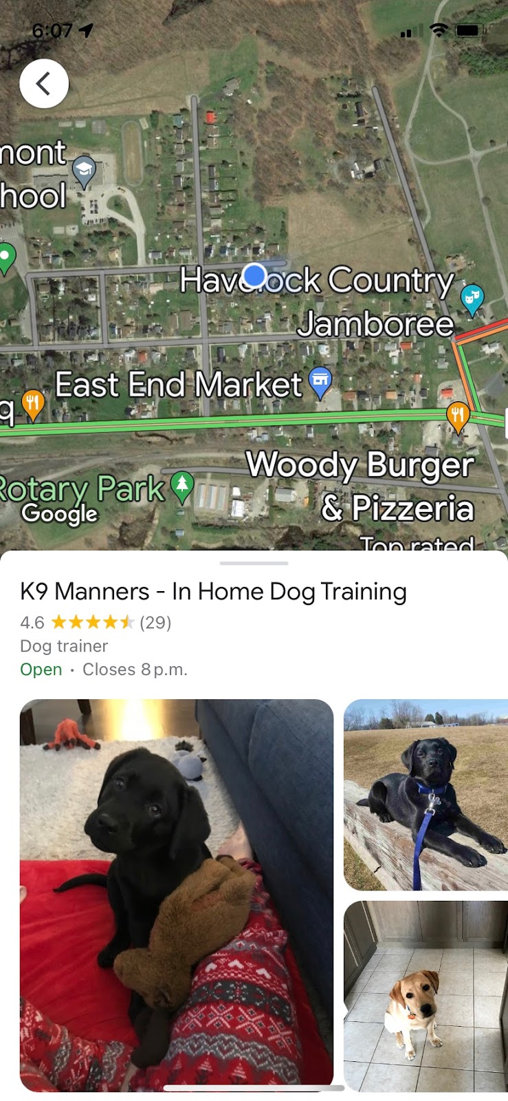 K9 Manners - In Home Dog Training | 68 Mathison St E, Havelock, ON K0L 1Z0, Canada | Phone: (905) 439-2599
