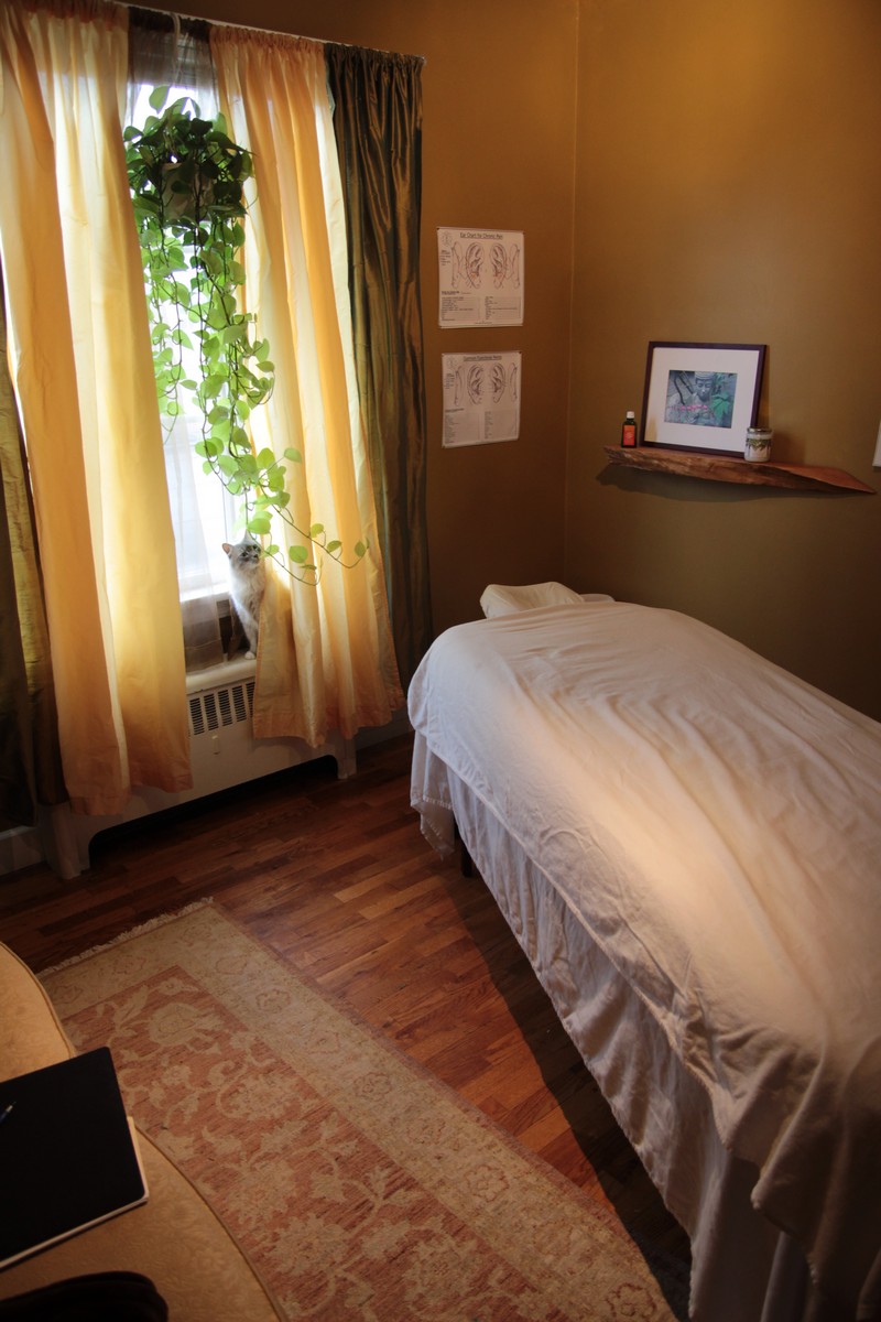 Totality Acupuncture | 3612 W 4th Ave Studio 9, Vancouver, BC V6R 1P1, Canada | Phone: (604) 817-0302