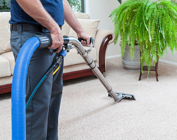 Kipling Carpet Cleaner Etobicoke | 2141 Kipling Ave, Etobicoke, ON M9W 4K8, Canada | Phone: (647) 697-9721