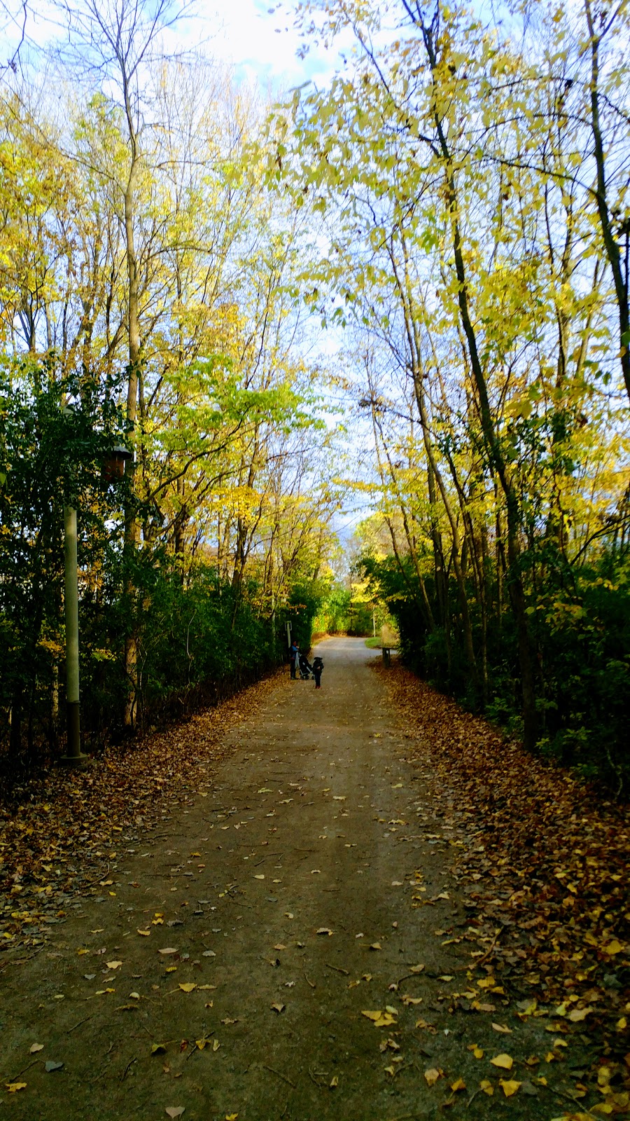 Bois-de-lÎle-Bizard Nature Park | 2115 Chemin du Bord-du-Lac, LÎle-Bizard, QC H9C 1P3, Canada | Phone: (514) 280-8517