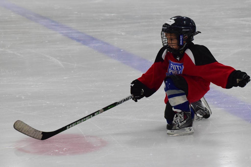 Future Phenoms Hockey Camp Inc. | 50 Pomander Rd, Unionville, ON L3R 1X7, Canada | Phone: (289) 231-3372