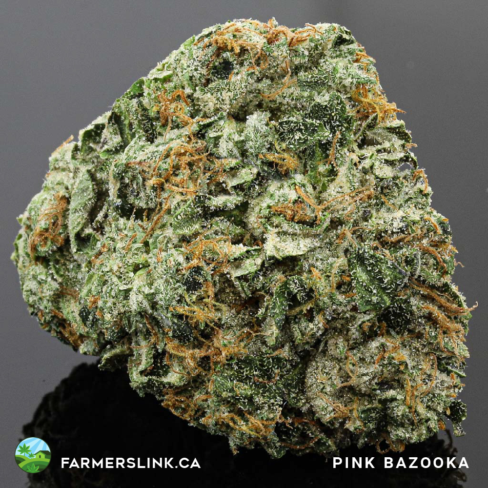 Farmers Link | Toronto West Dispensary | 463 Vaughan Rd, York, ON M6C 2P3, Canada | Phone: (647) 868-8888