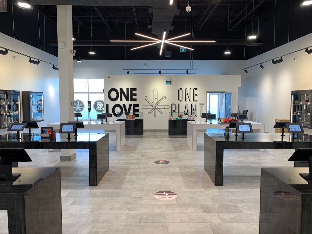 One Plant Cannabis Dispensary - Bradford | 484 Holland St W, Bradford, ON L3Z 0A2, Canada | Phone: (905) 778-0668